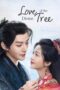 Love of the Divine Tree (2025) Love of the Divine Tree (2025)