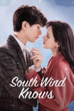 South Wind Knows (2023) South Wind Knows (2023)